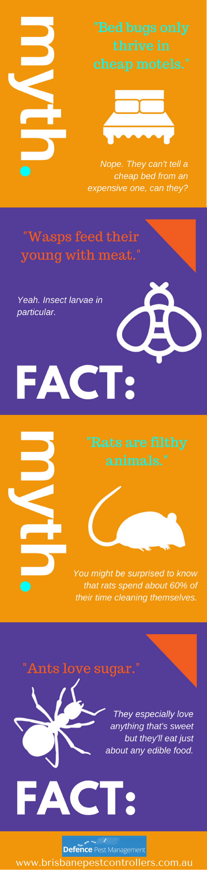 facts-and-myth-02