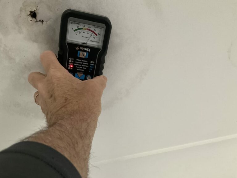 annual termite inspection kenmore 4069