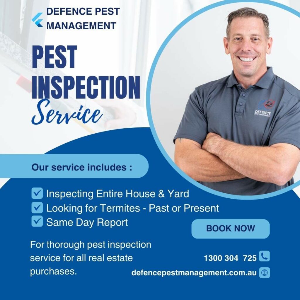 pest inspection defence pest management
